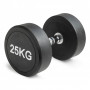 Гантель неразборная круглая 25 кг. VictoryFit VF-R250