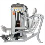 Отжимание на брусьях Hoist RS-1101 тренажер с технологией ROX