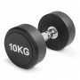 Гантель неразборная круглая 10 кг. VictoryFit VF-R100