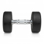 Гантель неразборная круглая 10 кг. VictoryFit VF-R100