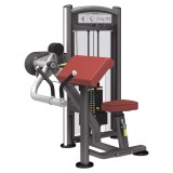 Бицепс AeroFIT Impulse Techno IT9303 Бицепс AeroFIT Impulse Techno IT9303